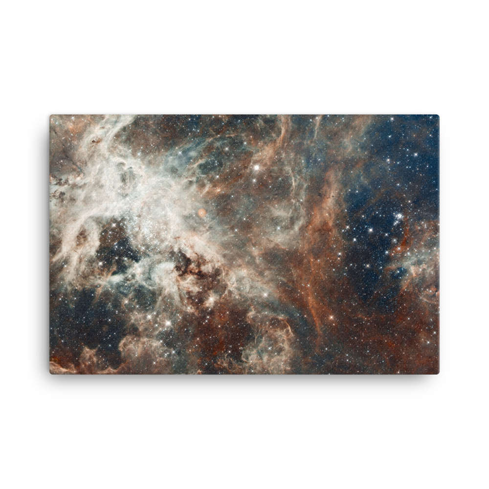 30 Doradus dark blue brown poster framed canvas print