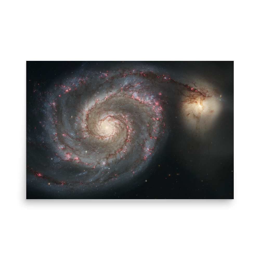 The Whirlpool Galaxy (M51) and Companion Galaxy white poster unframed