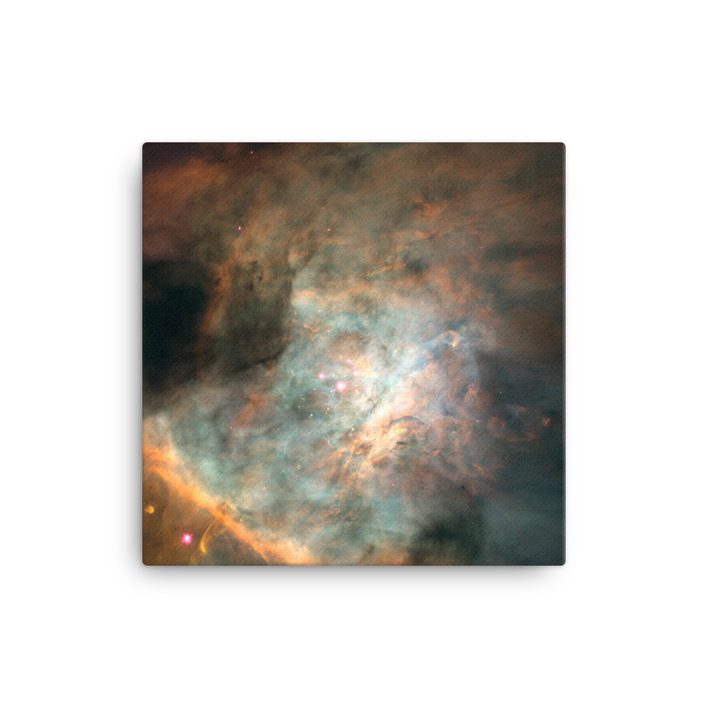 Star-birthing Region in the Orion Nebula