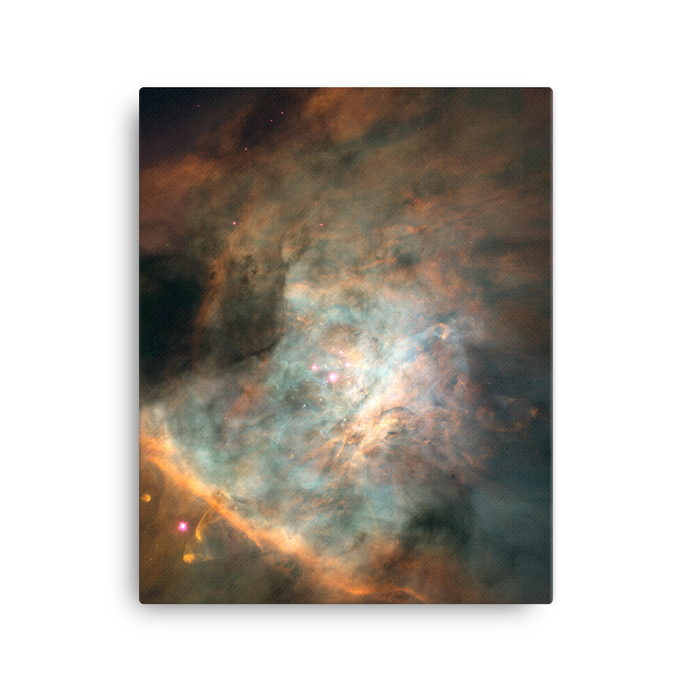 Star-birthing Region in the Orion Nebula