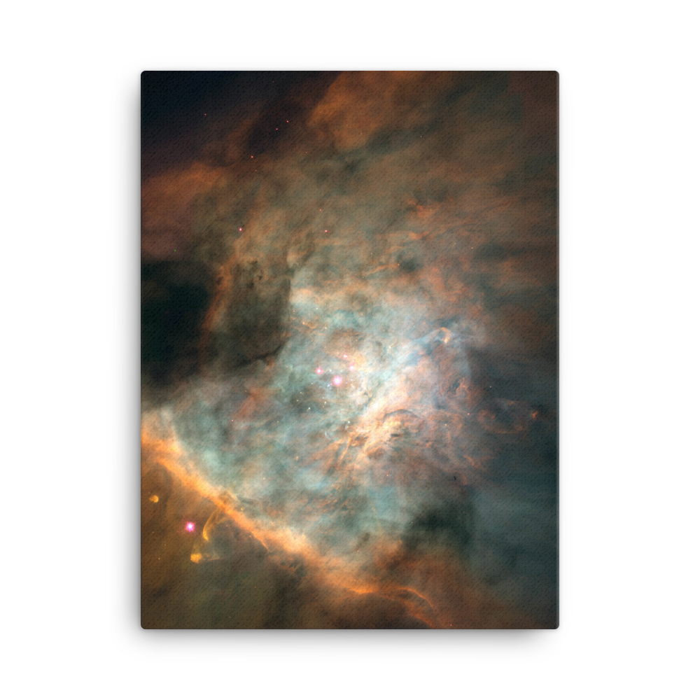 Star-birthing Region in the Orion Nebula