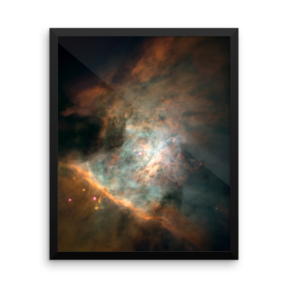 Star-birthing Region in the Orion Nebula