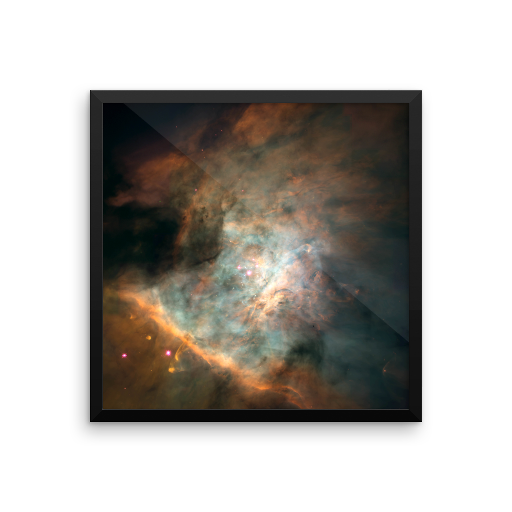 Star-birthing Region in the Orion Nebula