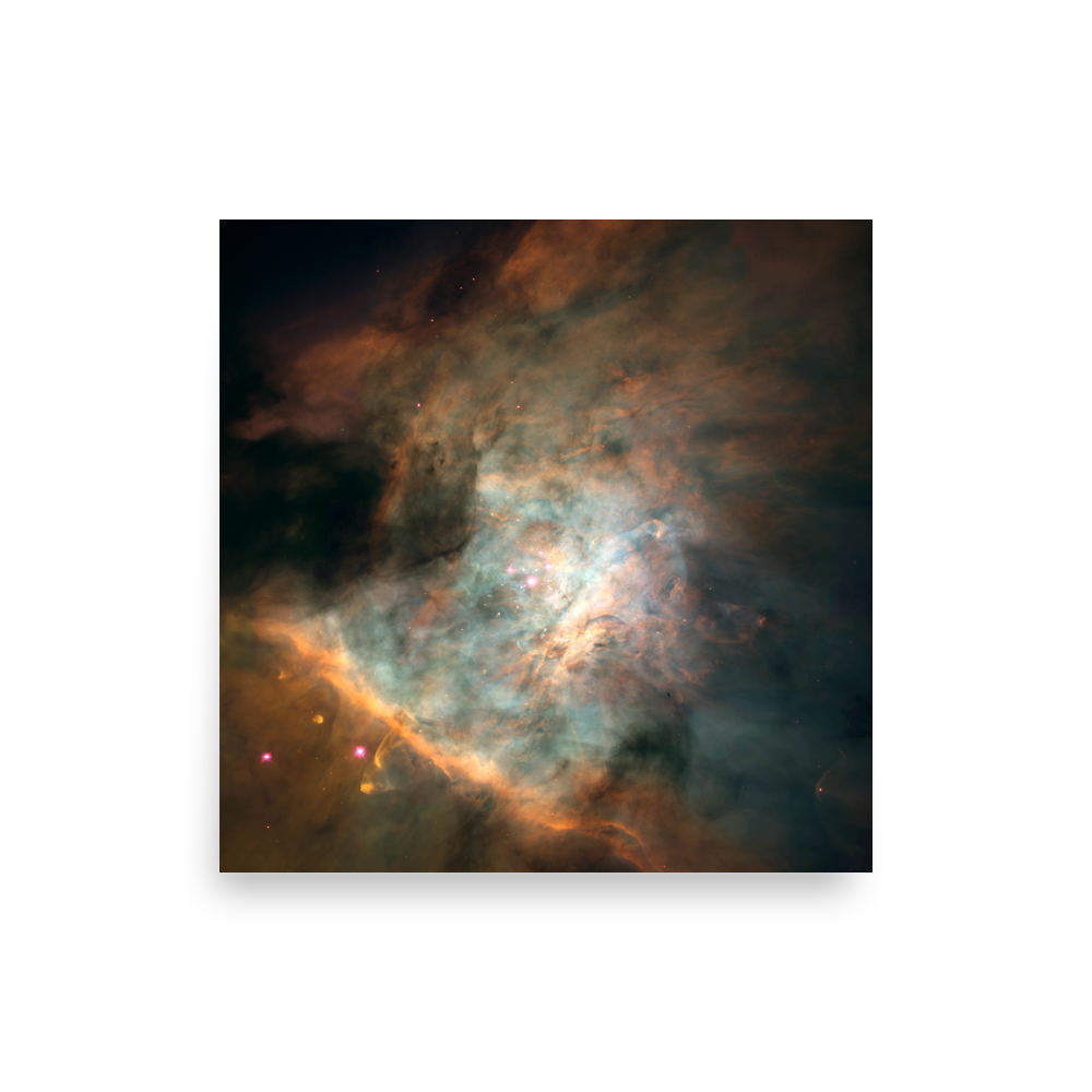 Star-birthing Region in the Orion Nebula