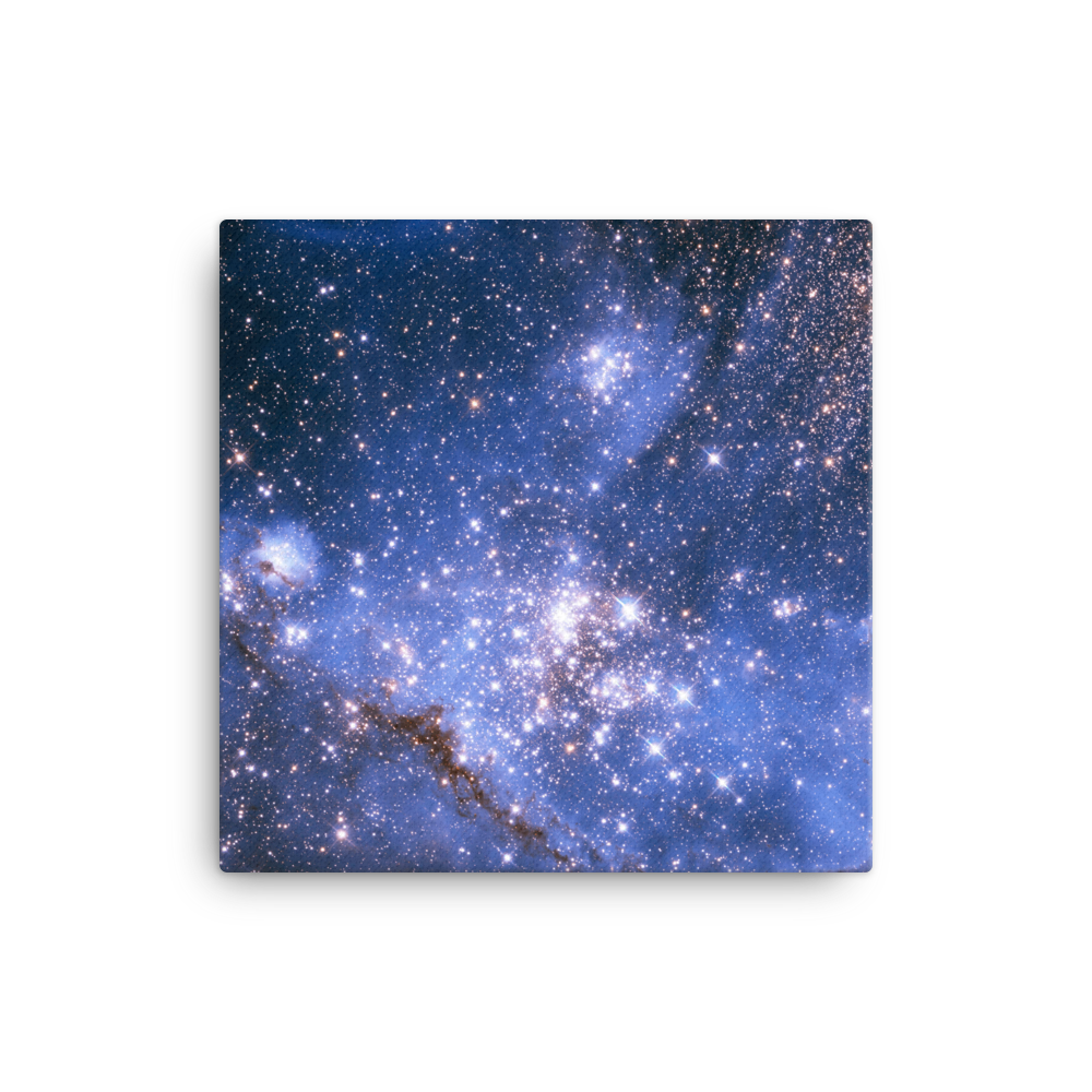 Infant Stars in the Small Magellanic Cloud