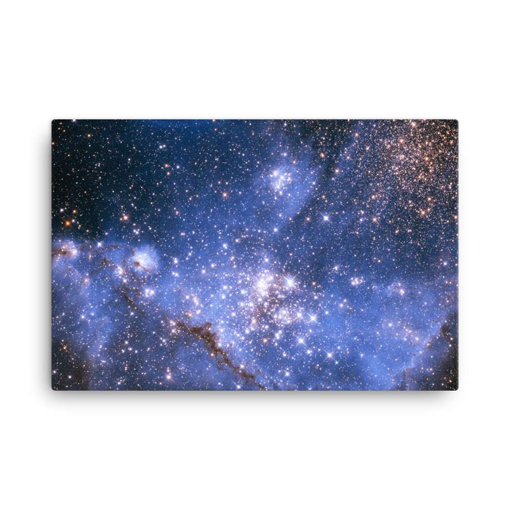 Infant Stars in the Small Magellanic Cloud blue purple canvas print