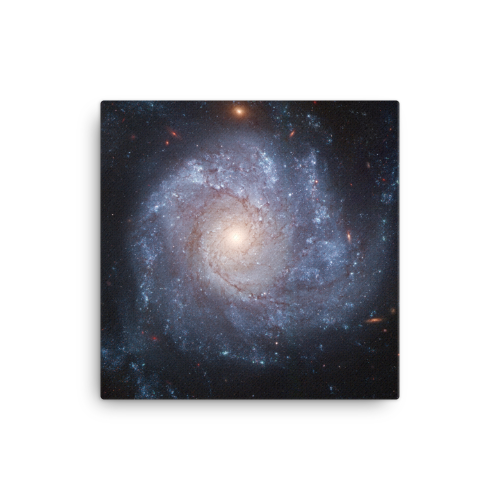 Spiral Galaxy NGC 1309