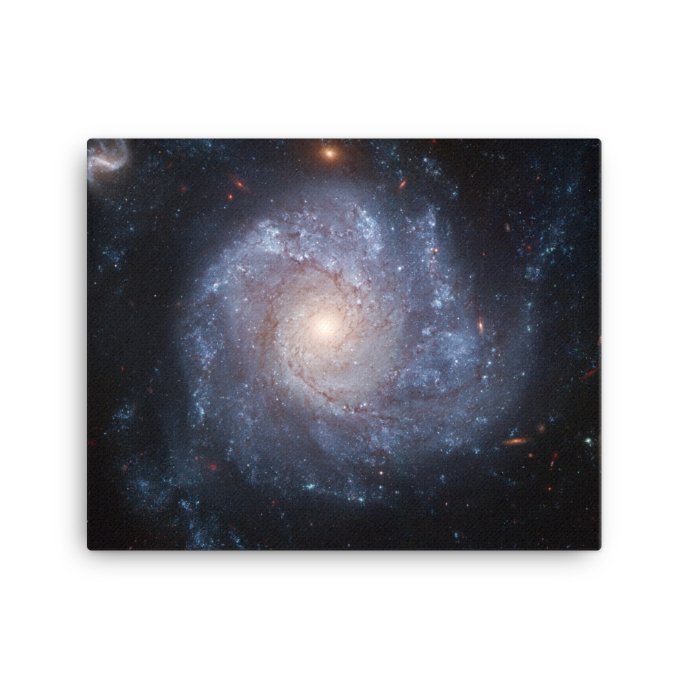 Spiral Galaxy NGC 1309