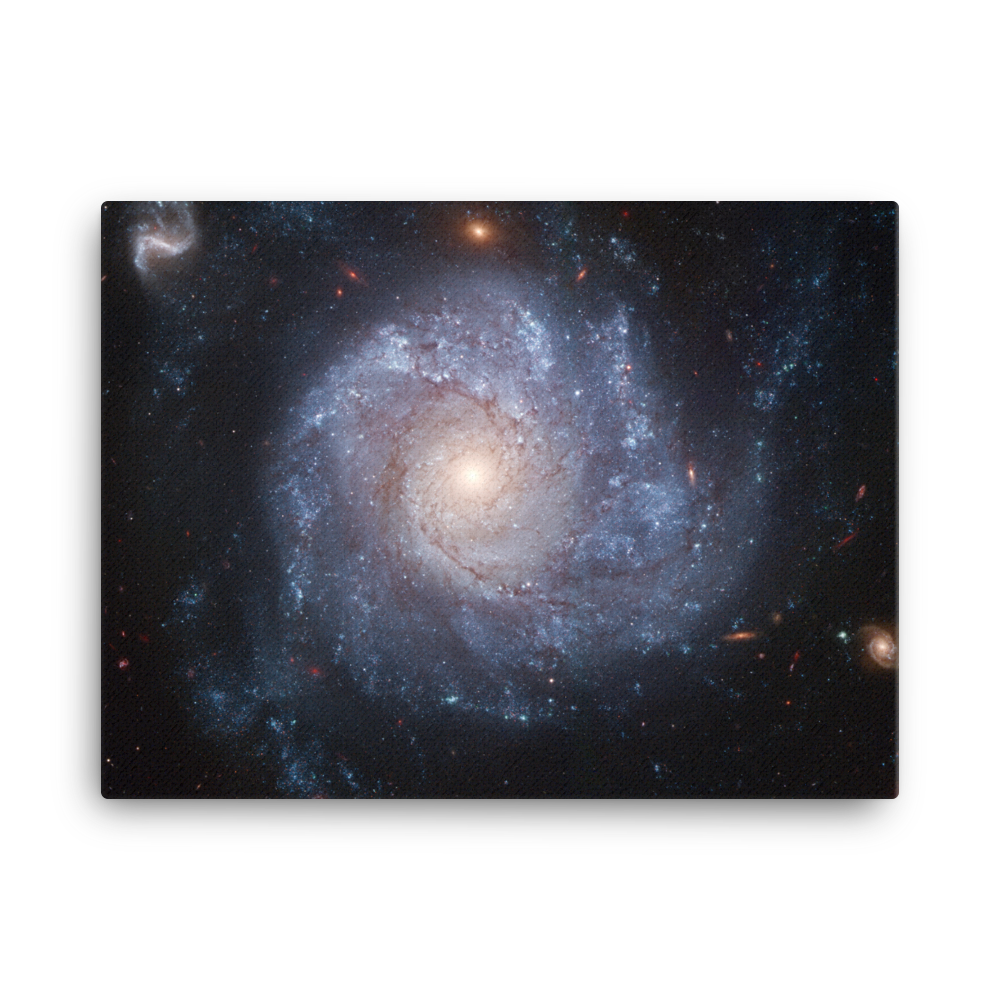 Spiral Galaxy NGC 1309