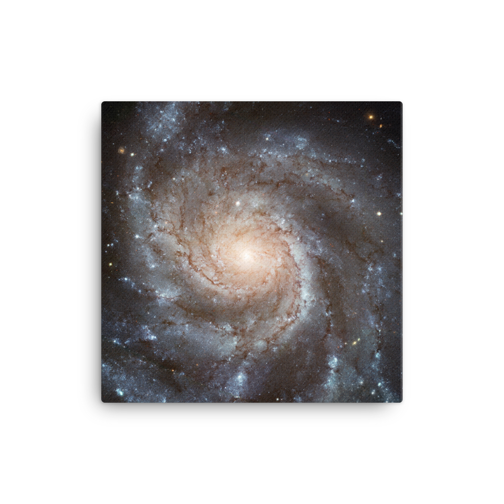 Pinwheel Galaxy - M101