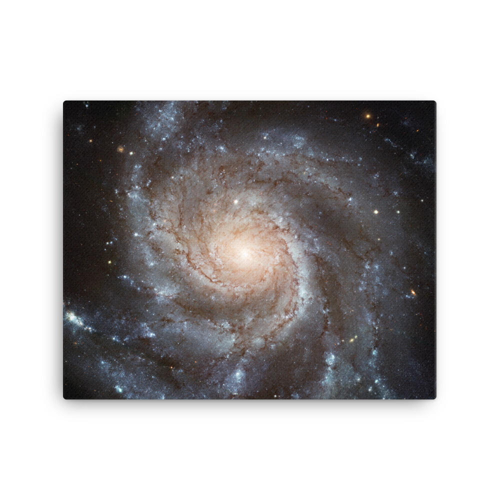 Pinwheel Galaxy - M101