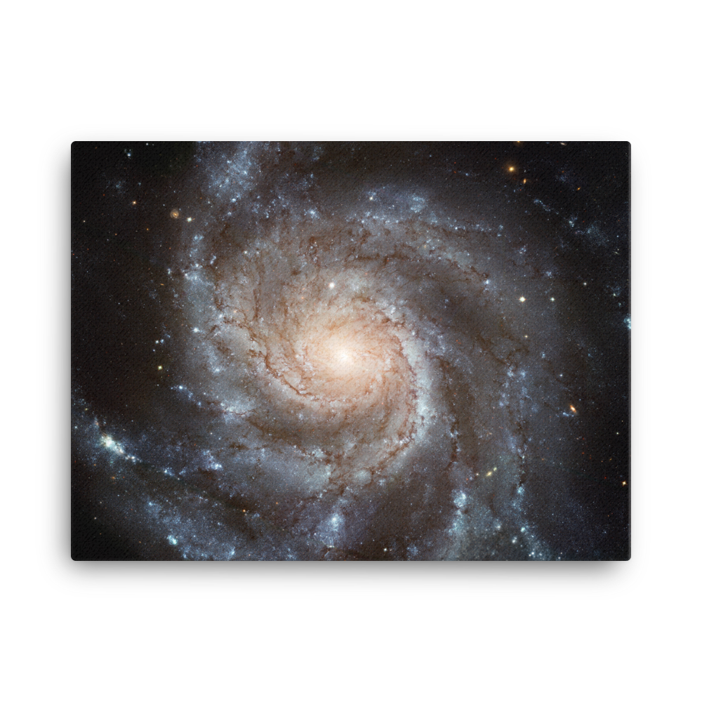 Pinwheel Galaxy - M101