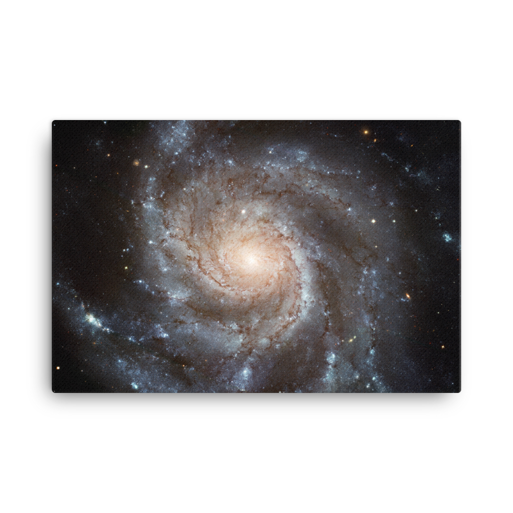Spiral Galaxy M101 yellow canvas print