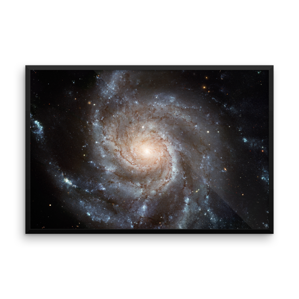 Spiral Galaxy M101 yellow poster framed