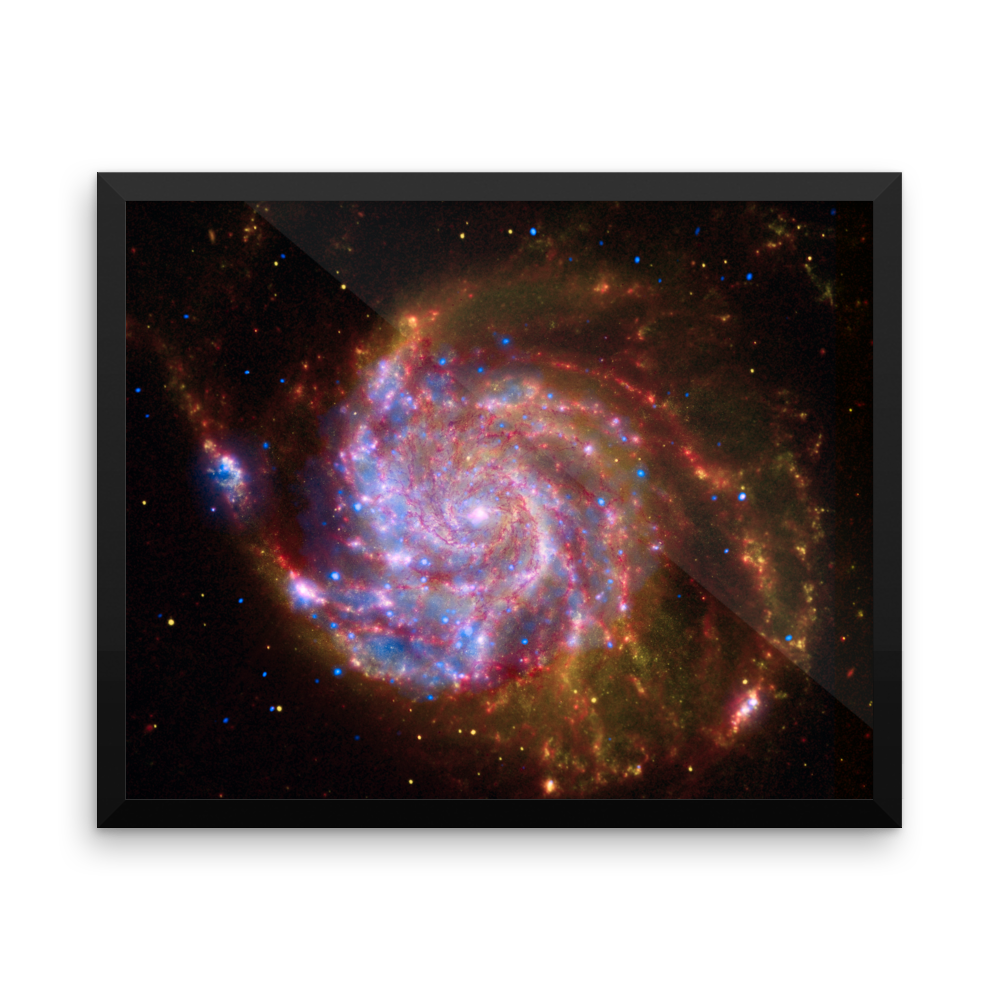 Spitzer-Hubble-Chandra Image of Pinwheel Galaxy - M101