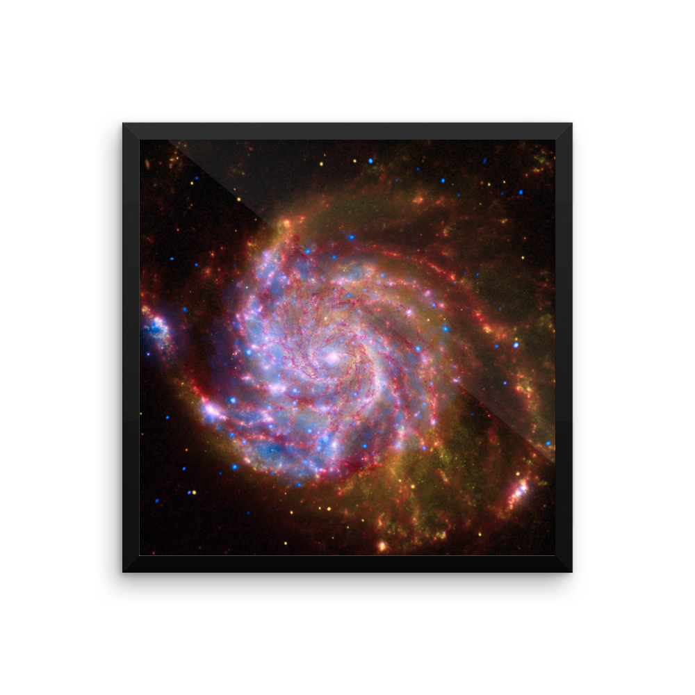 Spitzer-Hubble-Chandra Image of Pinwheel Galaxy - M101