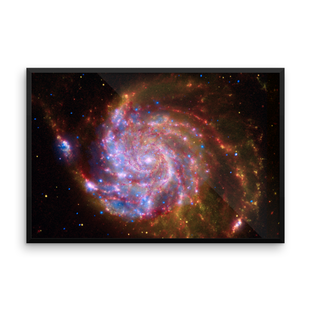 Spitzer-Hubble-Chandra Image of M101 pink poster framed