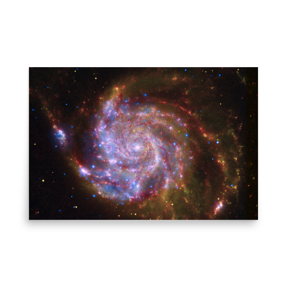 Spitzer-Hubble-Chandra Image of M101 pink poster unframed