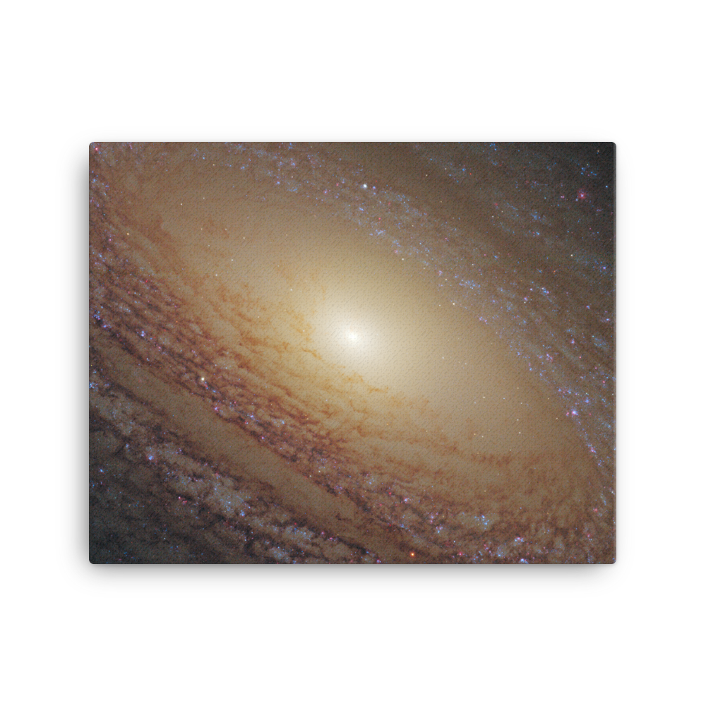 Spiral Galaxy NGC 2841