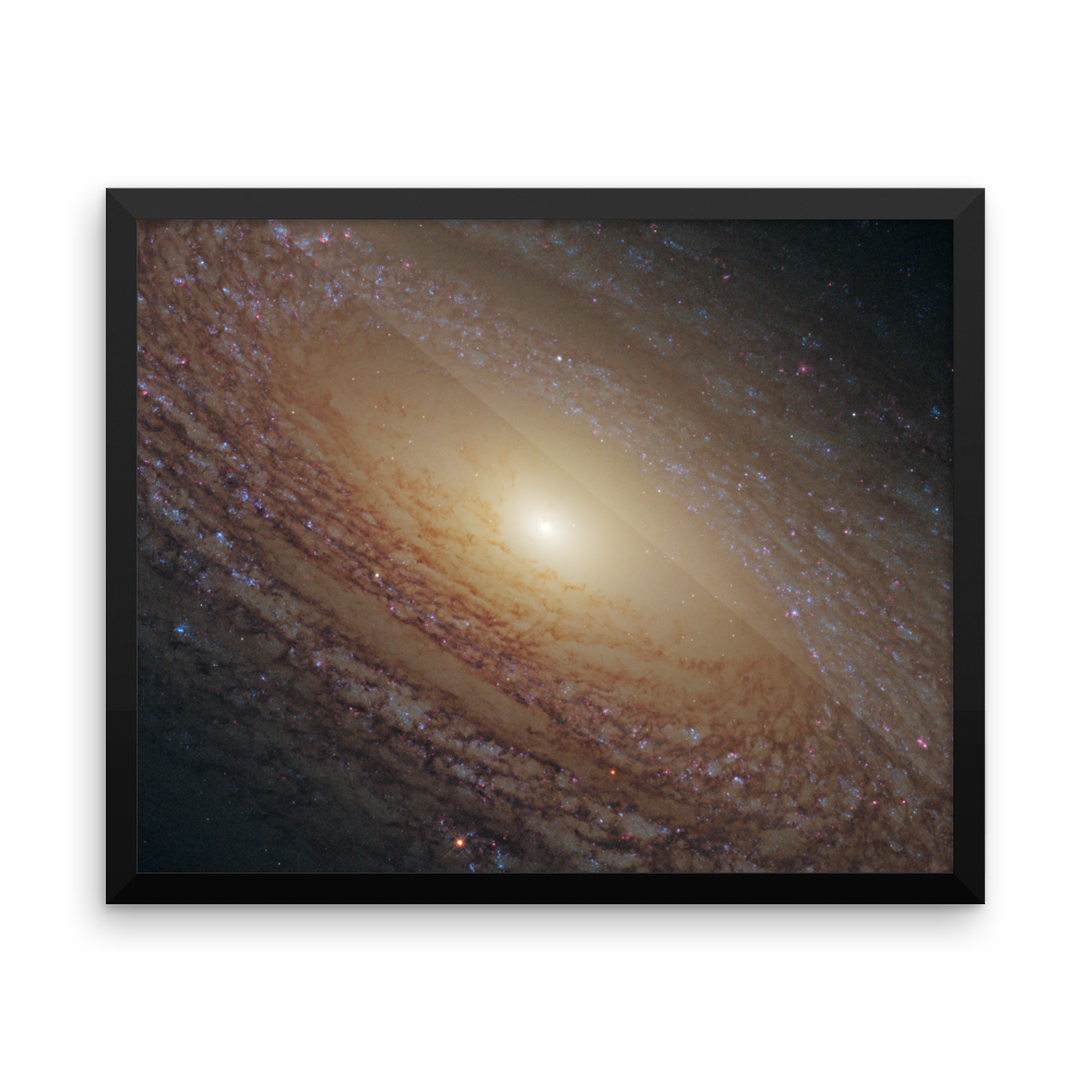 Spiral Galaxy NGC 2841