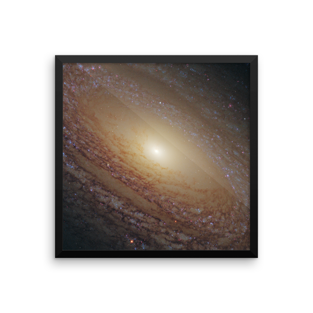 Spiral Galaxy NGC 2841