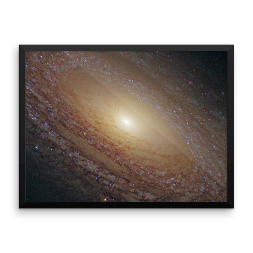 Spiral Galaxy NGC 2841