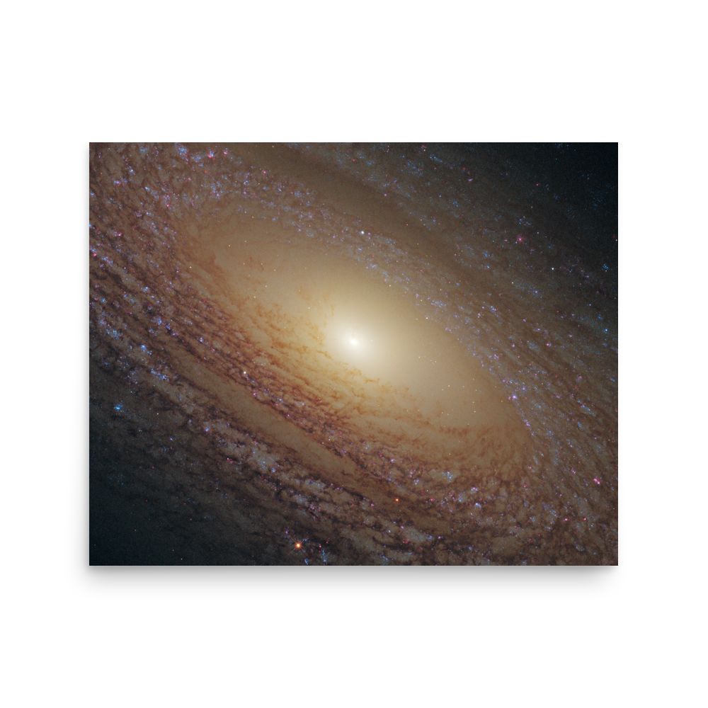 Spiral Galaxy NGC 2841
