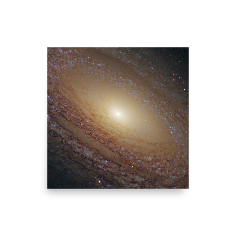 Spiral Galaxy NGC 2841
