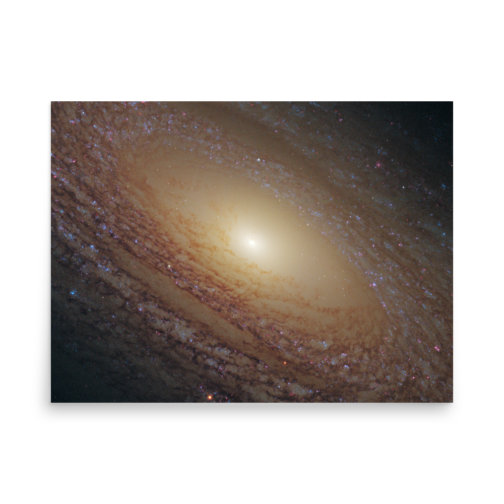 Spiral Galaxy NGC 2841