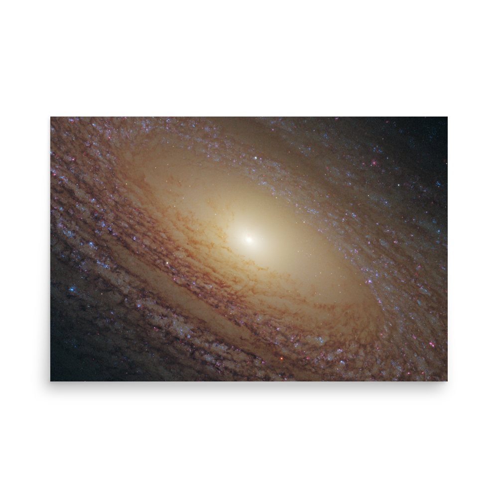 Spiral Galaxy NGC 2841 yellow poster unframed